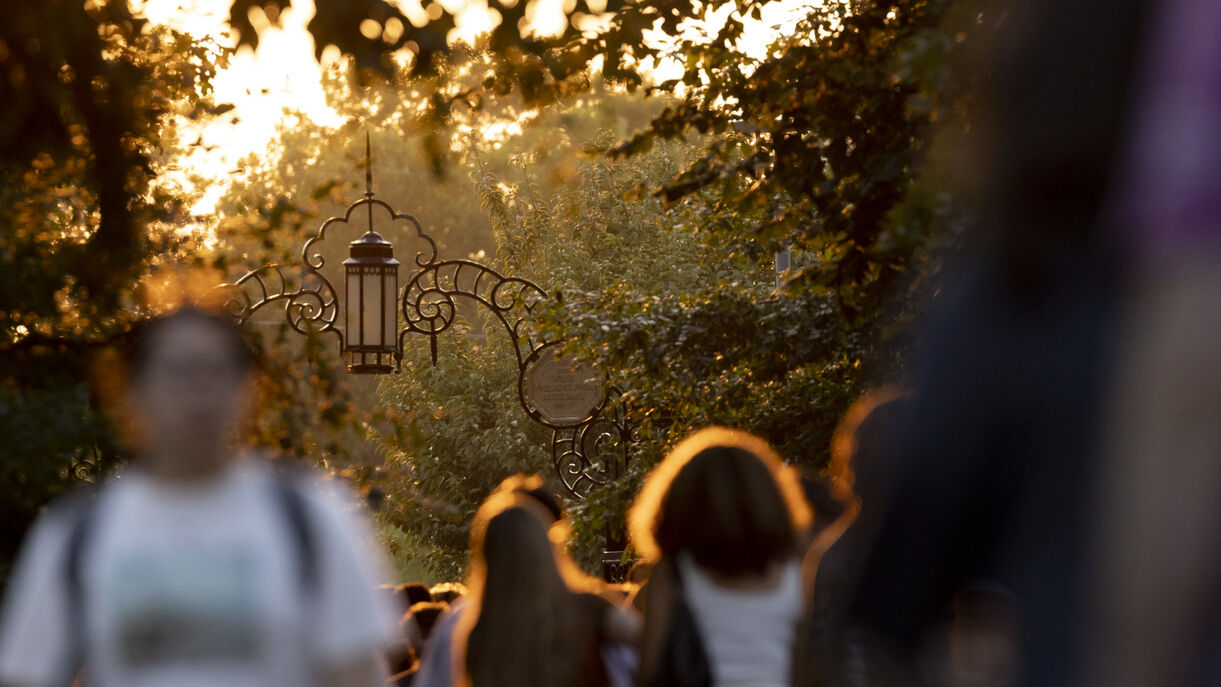An evening campus stock photo.