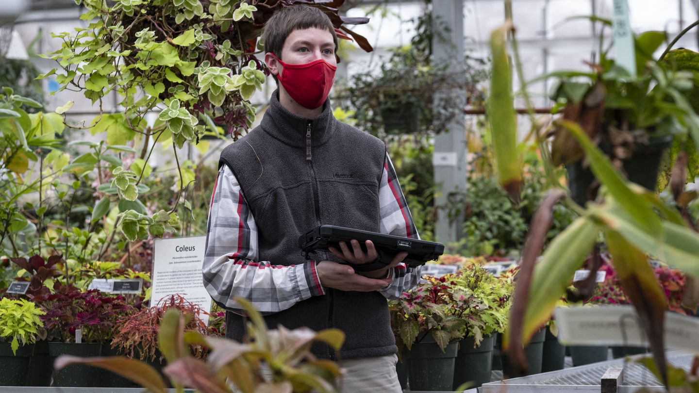 Ben Snyder among plants in the Temple Ambler Greenhouse.