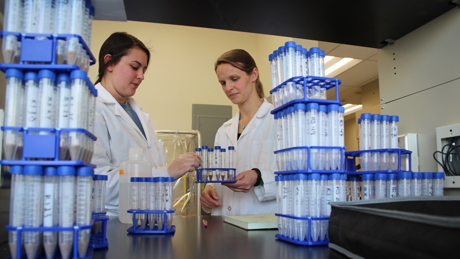 Engineering researchers handling test tubes in a lab.