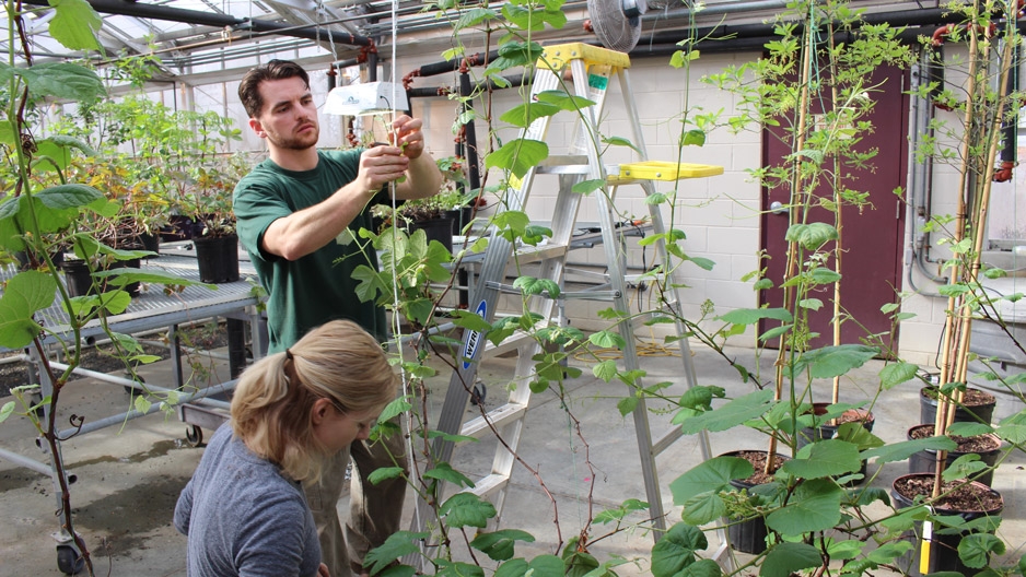 a man and a woman working with plants in a greenhouse.