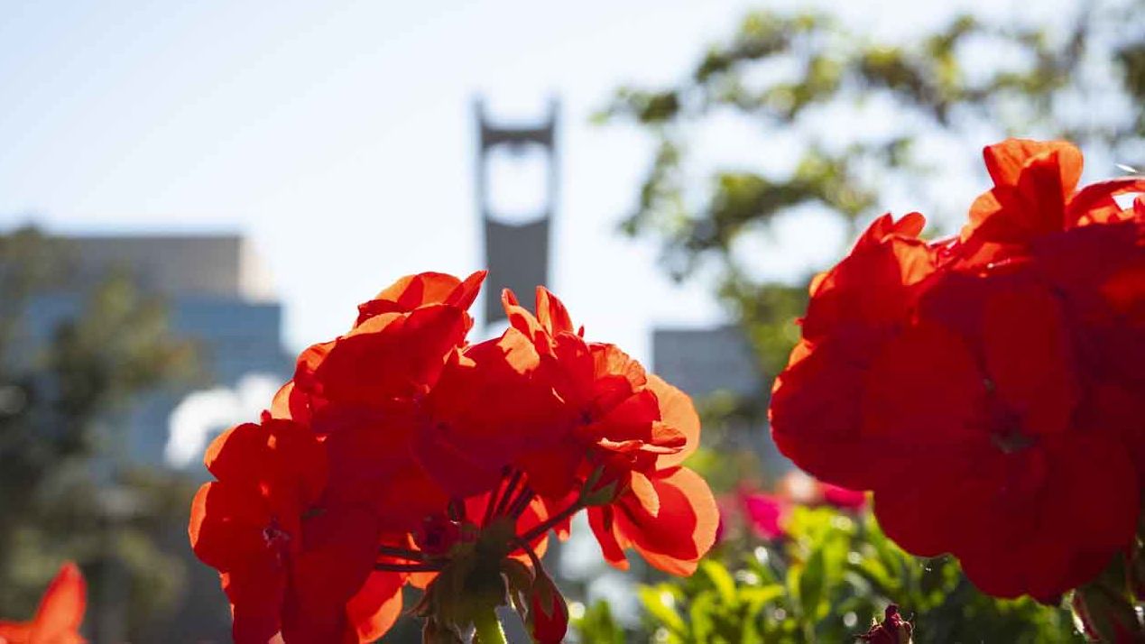 Bell tower