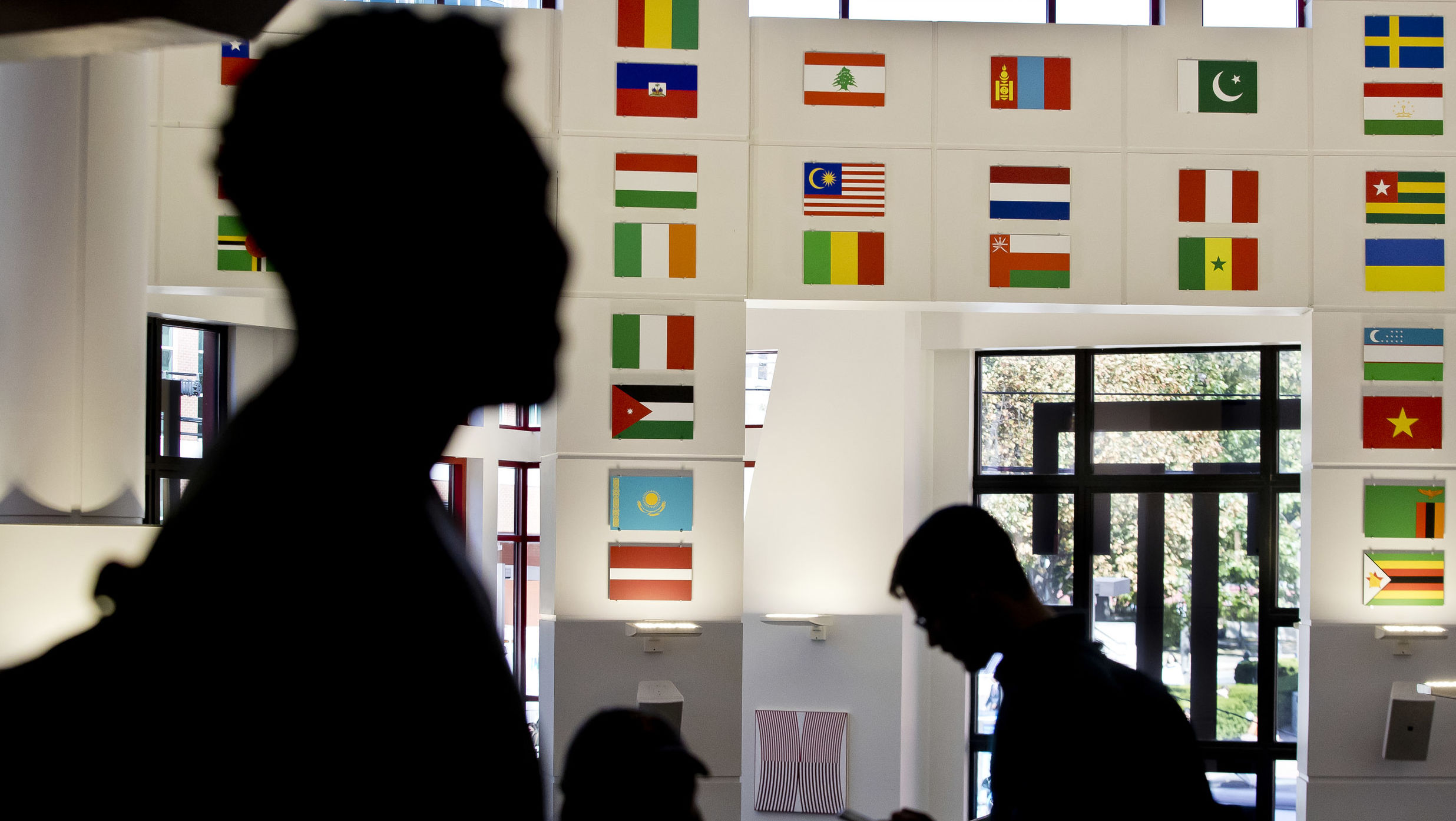 Intenational flags hang in the Howard Gittis Student Center