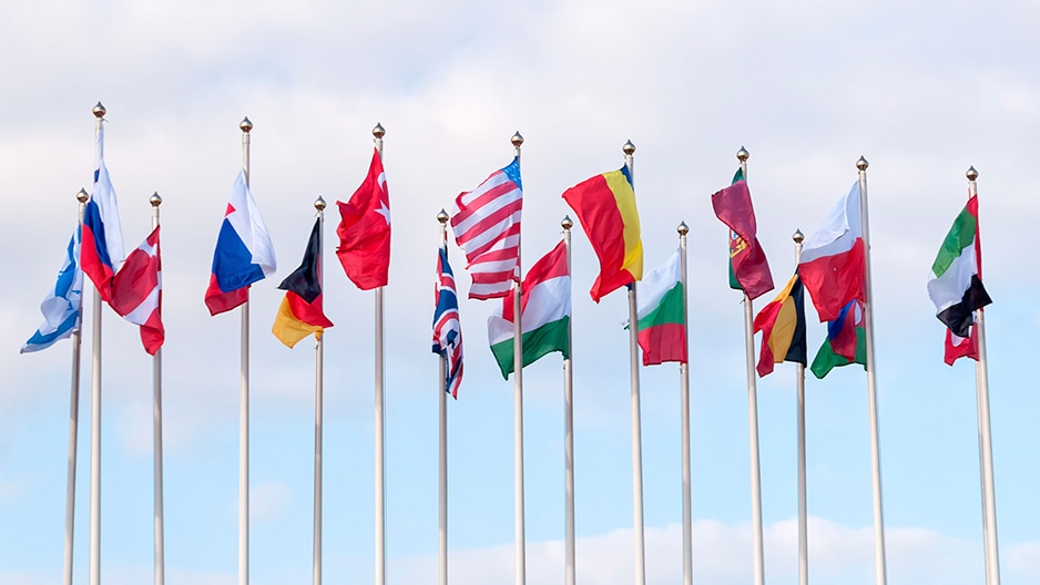 A collection of international flags flying from flagpoles.