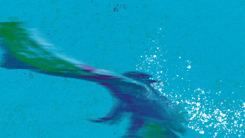 Culture Pick: Disney's live-action 'The Little Mermaid' makes a