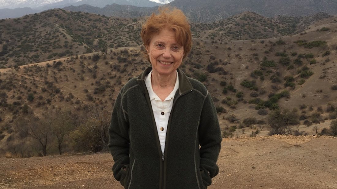 Nora Newcombe standing in front of a desert landscape