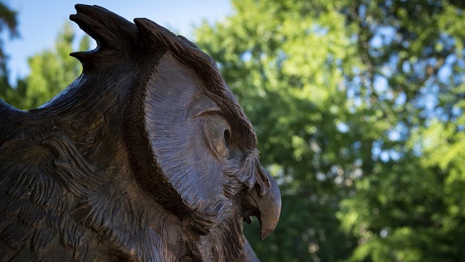 Owl statue on Main Campus. 