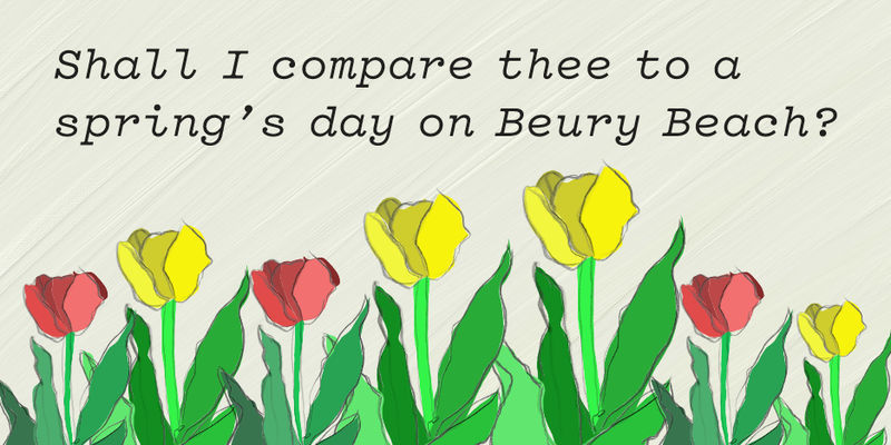 Text over yellow and red painted flowers reads, "Shall I compare thee to a spring's day on Beury Beach?"