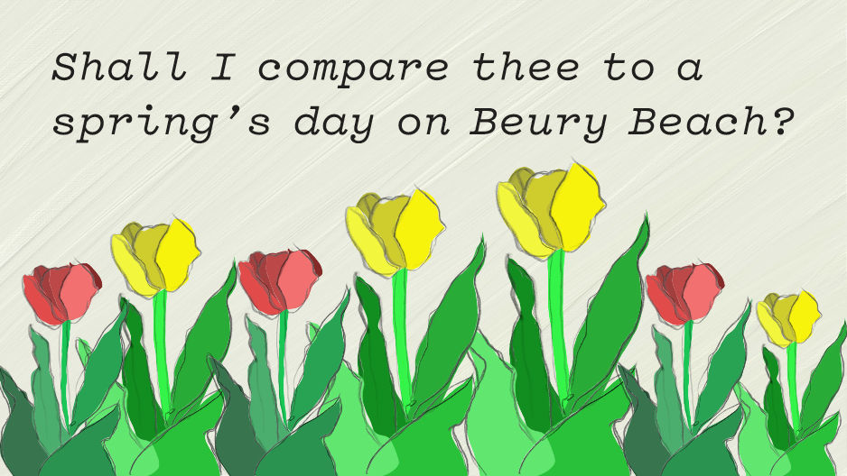 Text over yellow and red painted flowers reads, "Shall I compare thee to a spring's day on Beury Beach?"