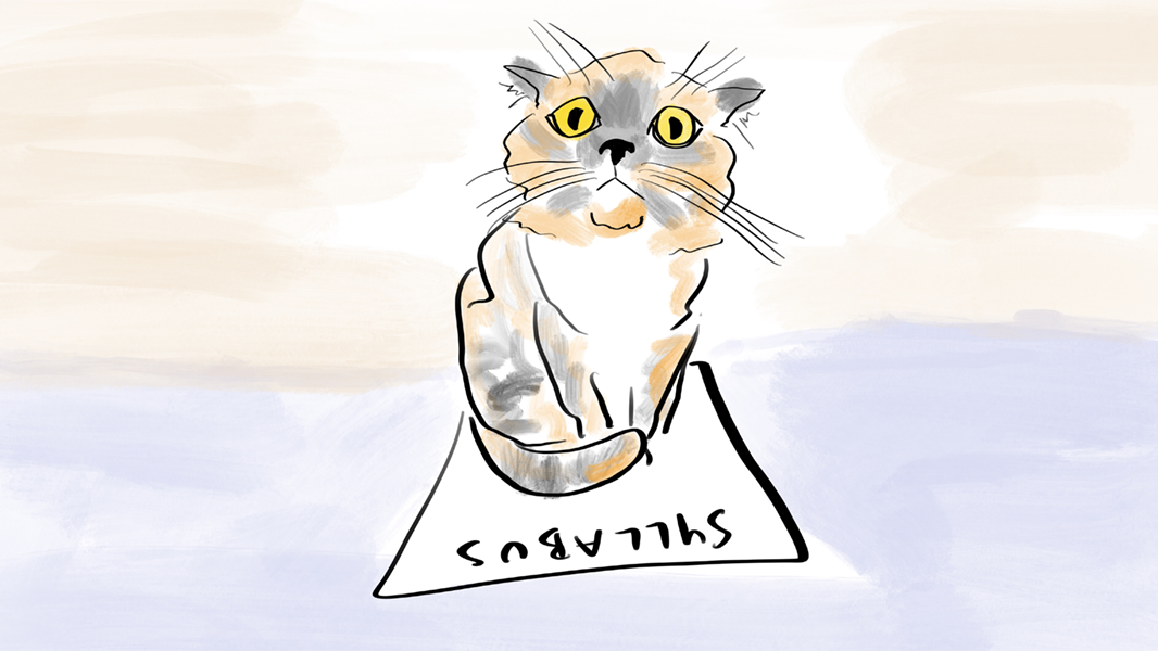 illustration of a cat sitting on a syllabus and looking concerned