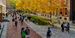 Students walking on Temple's Main Campus in the fall