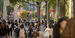 A campus scene of lots of students.