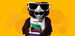 Hooter wearing sunglasses and carrying a stack of books