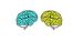 Two illustrated brains looking at each other.
