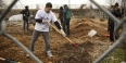 Students working in an urban garden. 