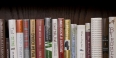 Books on a bookshelf in Samuel Paley Library. 