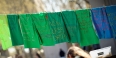 Green t-shirts with messages hanging from a clothesline in Founder’s Garden. 