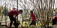 students tending an urban garden