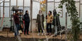 engineers inside the greenhouse