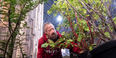 Michael LoFurno working on Flower Show exhibit