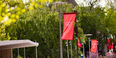 T flags on Main Campus
