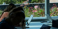 Students studying in Charles Library, with the green roof visible through a window nearby.
