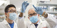 Two doctors looking at results in a lab. 