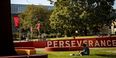 A student sitting in the grass on Main Campus near the Perseverance Conquers mural. 