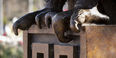 An Owl statue and the Temple T on Main Campus.