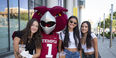 Three girls wearing T-shirts and shorts standing next to an Owl mascot.