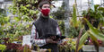 Ben Snyder among plants in the Ambler Greenhouse.