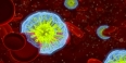 An infected blood stream.
