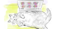 cat sleeping on a laptop