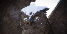 A picture of Temple's owl statue.