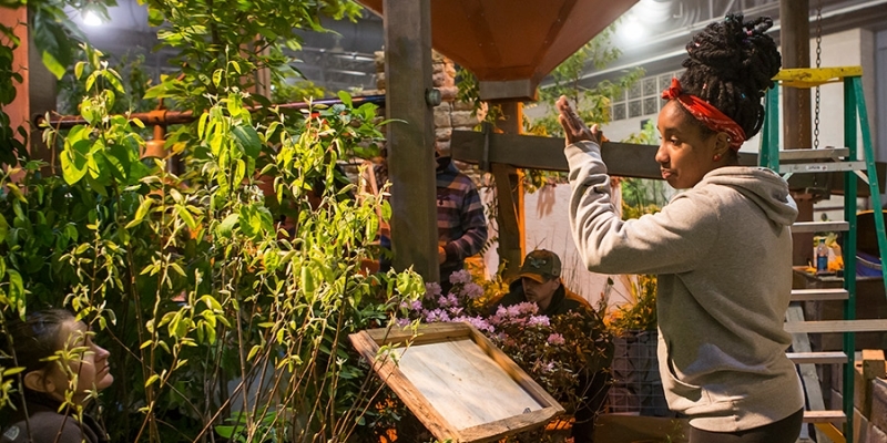 A team from Temple Ambler building their Philadelphia Flower Show exhibit.