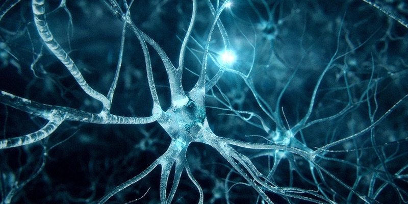 A three-dimensional scan of neurons firing inside a brain.