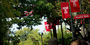 students walking on Temple’s Main Campus