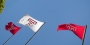 Temple University logo flags flying