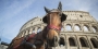 A horse in front of the Colosseum in Rome, Italy. 