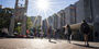 Students walking toward the Bell Tower on a sunny day.