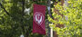 The Temple flag with the new Owl mark