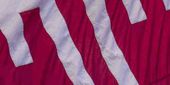 flag adorned with Temple T