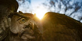 An Owl statue spreads its wings on Temple's Main Campus.
